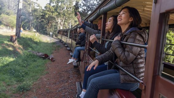 Chuyến tham quan tàu hơi nước Puffing Billy và động vật hoang dã 1 ngày từ Melbourne