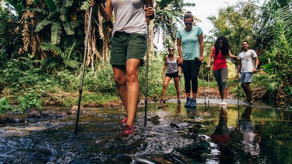 Mauritius waterfall trekking at Bel Ombre Nature Reserve