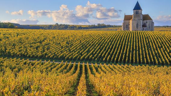 Visit of the Domaine Clotilde Davenne and Chablis wine tasting session