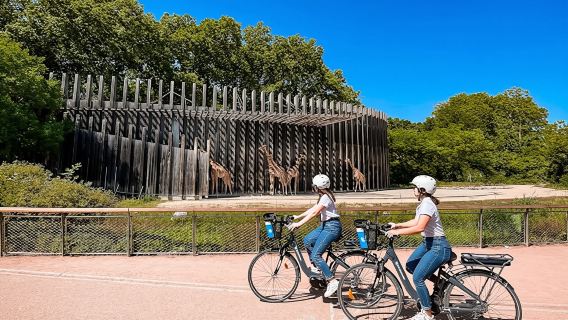 Guided Tour of Lyon's Parc de la Tête d'Or with a local guide