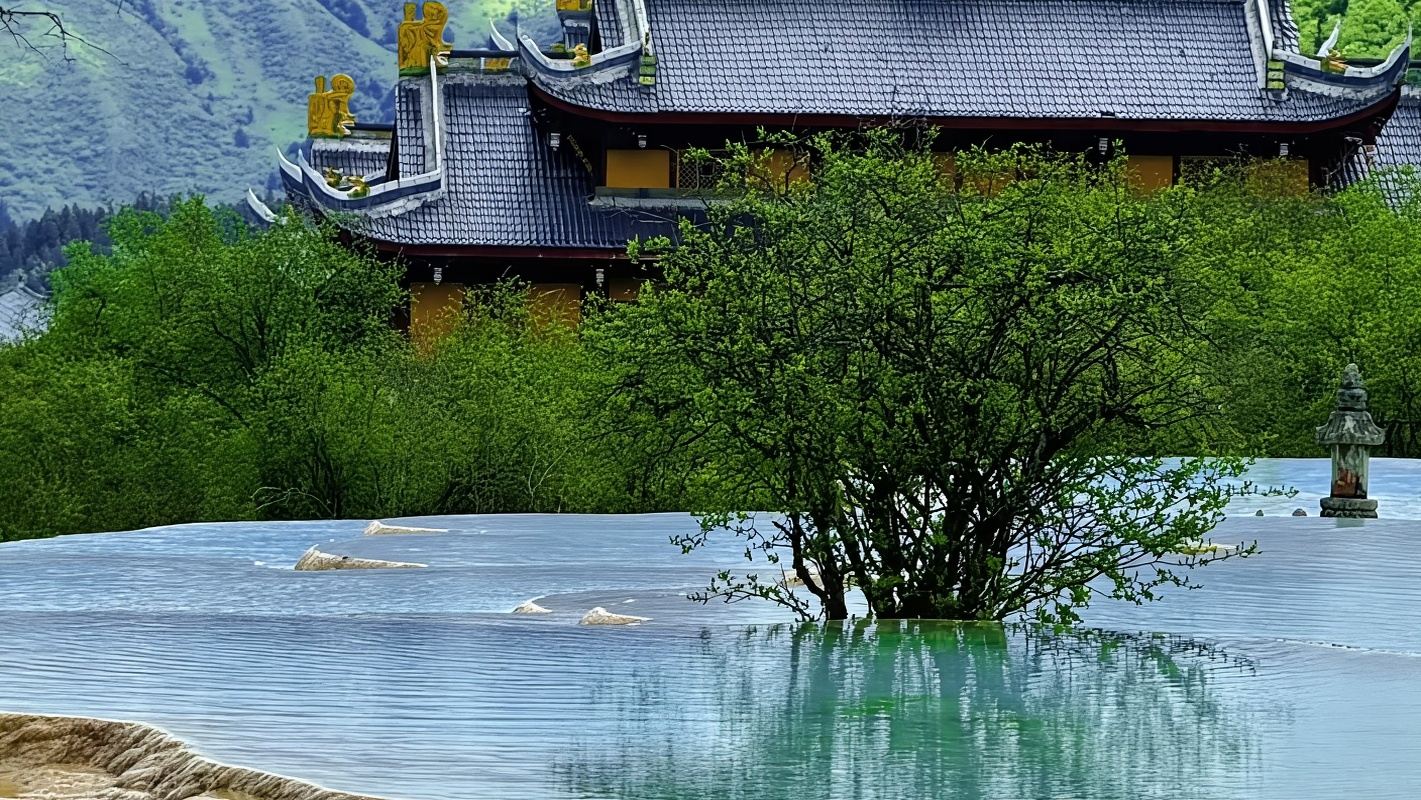Huanglong tour di un giorno|Autobus condiviso e biglietti d'ingresso opzionali inclusi, noleggio auto opzionale e guida turistica
