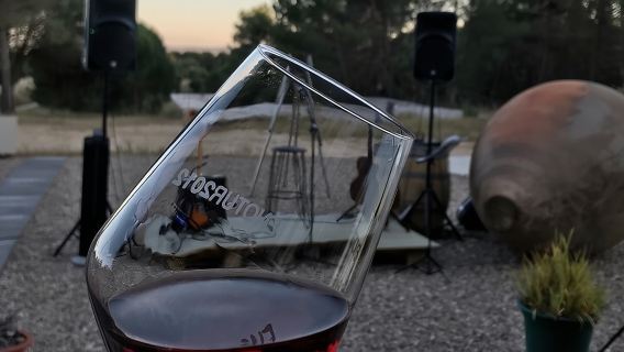 Visit and Wine Tasting at the Territorio Luthier Winery