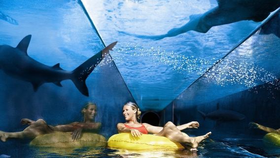 Экскурсия в аквапарк Atlantis Aquaventure в Дубае с трансфером