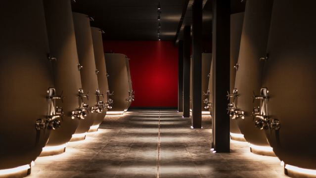 Valpolicella Wine Tasting Experience & Light Lunch