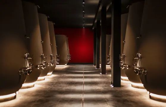 瓦爾波利切拉葡萄酒品嚐體驗及簡餐