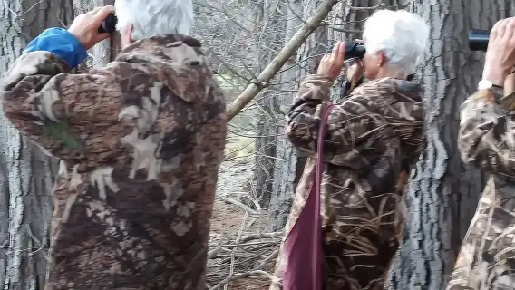 Christchurch, New Zealand one-day tour[Penguin Tour from Akaroa 44547]