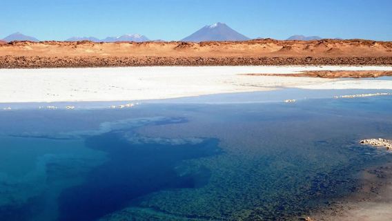 สำรวจที่ราบเกลือ Salinas Grandes ในเมืองซัลตา ประเทศอาร์เจนตินา