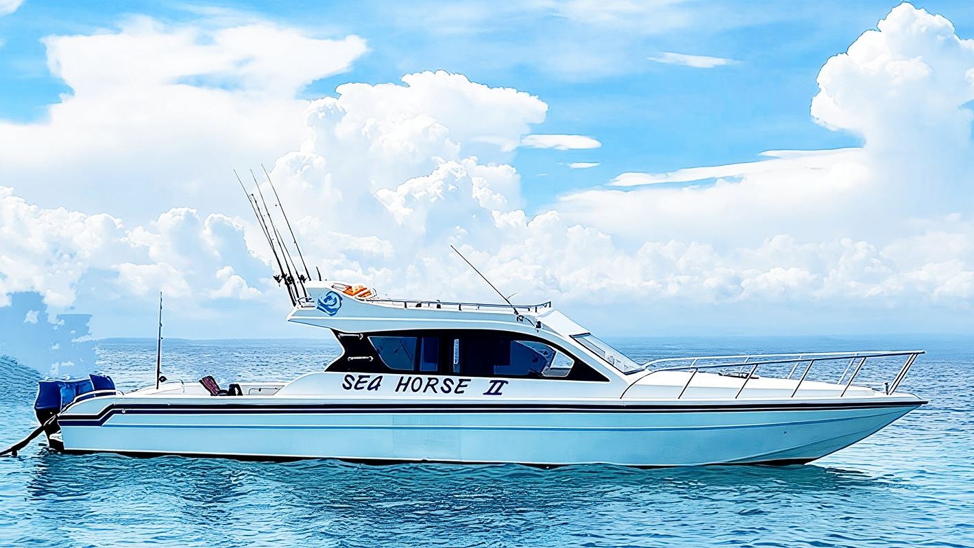 เช่าเรือยอชท์ทัวร์ 1 วัน เกาะนูซา ปนีดา ท่องเที่ยวรอบเกาะและดำน้ำตื้นเส้นทางฝั่งตะวันตก