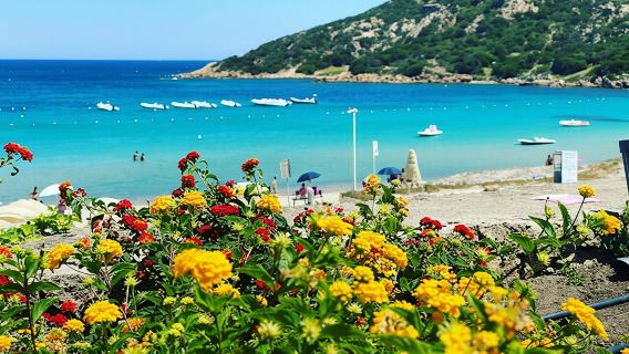 Sightseeing tour of Costa Smeralda