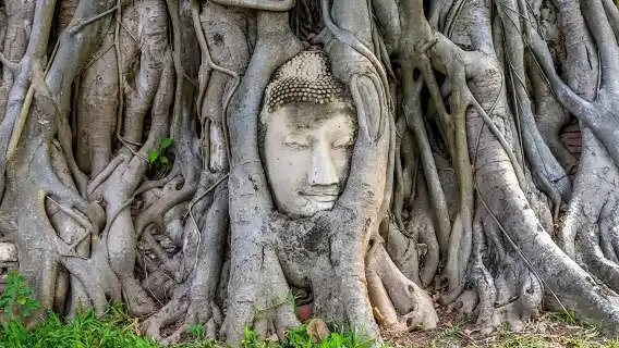 【私人導覽】泰國曼谷大城府+丹嫩沙多水上集市+美功鐵道市場一日遊