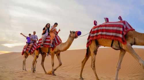 Dubai: Half-Day Quad Bike Safari, Camel Ride & Refreshment  Day Tours 7