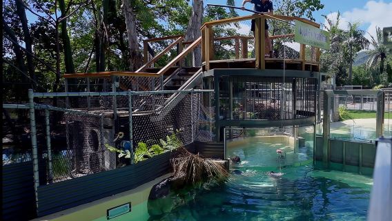 Port Douglas: Habitat Hidupan Liar Berenang dengan Buaya