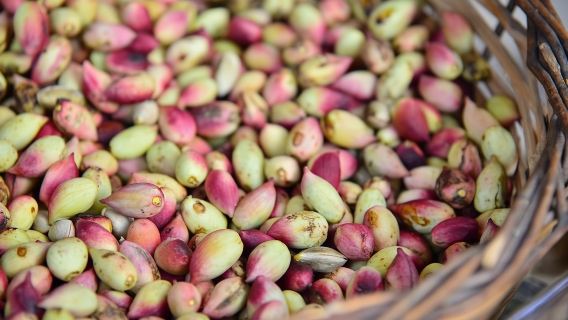 Athens: Ferry Boat Ticket to/from Aegina Island