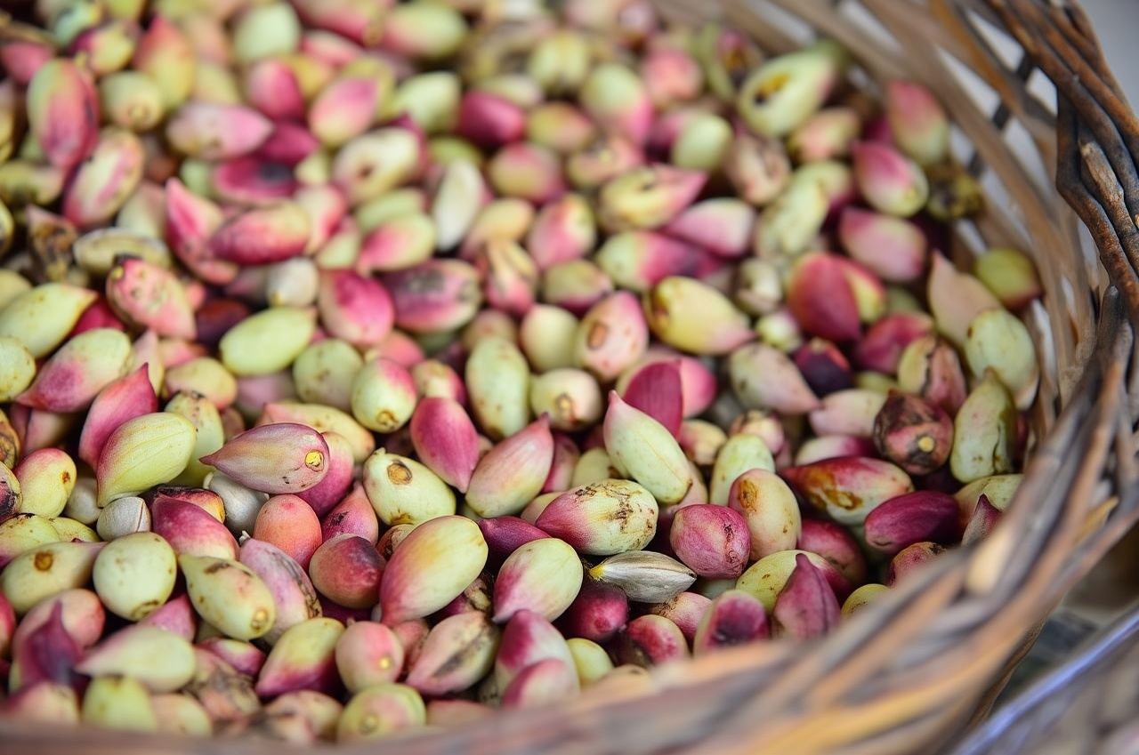 Athen: Fährticket zur/von der Insel Ägina