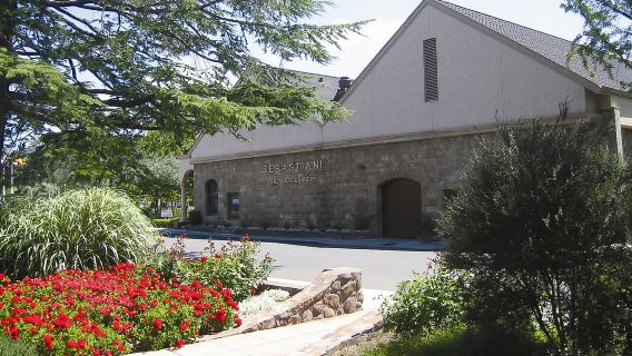 Desde San Francisco: tour de vino de día completo por Napa y el valle de Sonoma