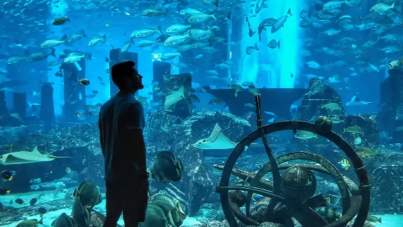 Dubai: pass di 5 giorni con autobus hop-on hop-off e tour nel deserto