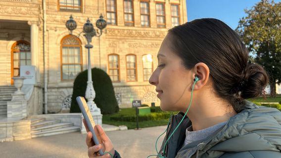 Istanbul: Palazzo Dolmabahce e Harem Fast-Track e Audio