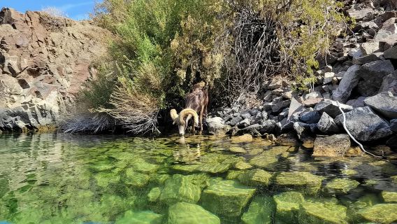 Las Vegas: Recorrido en kayak por la Cueva Esmeralda con fotos