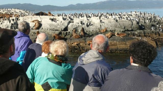 Ushuaia: Excursión a la colonia de pingüinos del canal Beagle