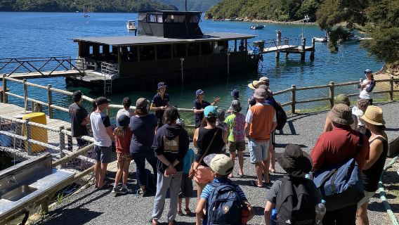 Queen Charlotte Sound: Lochmara Cruise & Explore 9-2.45