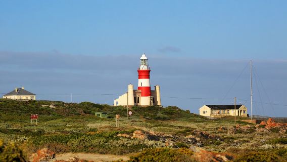南非|開普敦一日遊【包車10小時】