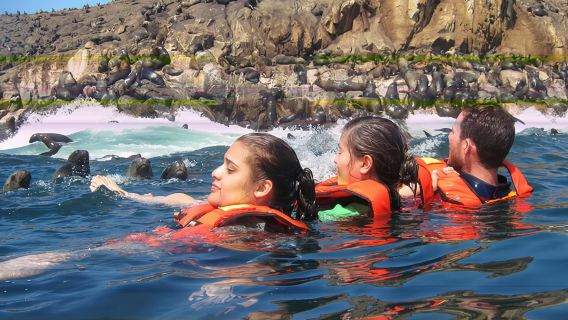 Lima - Bird Island to See Sea Lions/Penguins/Seabirds + Classic Attractions - Private Charter Day Tour - Customizable Itinerary