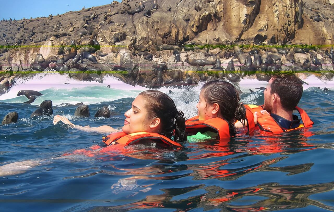 페루 리마 - 조류 섬에서 바다사자/펭귄/해조류 관찰 - 맞춤형 가능 - 전세 차량 (입장권 불포함)