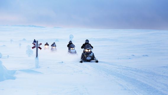 Levi: 1-Hour Snowmobile Safari