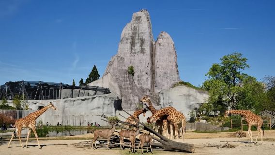 Paris: Eintrittskarte für den Zoo von Paris