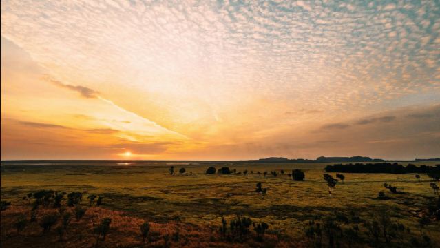 1-daagse dagtocht naar Darwin en Kakadu, Noordelijk Territorium, Australië (Engelstalige groep)