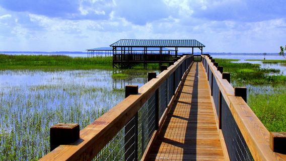 Wild Florida Airboat Tour in English