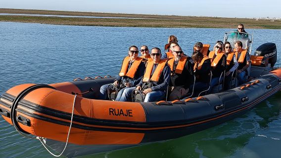 Dolphin Watching + 2 Islands Tour - From Faro