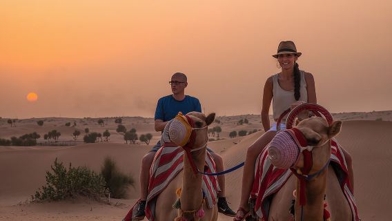 Dubai: Evening Camel Caravan, Bedouin Dinner at Al Marmoom Oasis