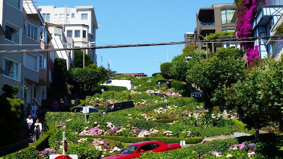 San Francisco Hop-On Hop-Off and Half Day Wine Country Tour