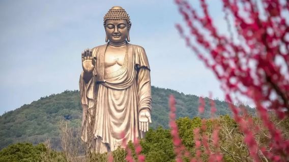 無錫博物館+古運河遊覧船+霊山大仏|貸切チャーター日帰りツアー【中英露仏独西】#