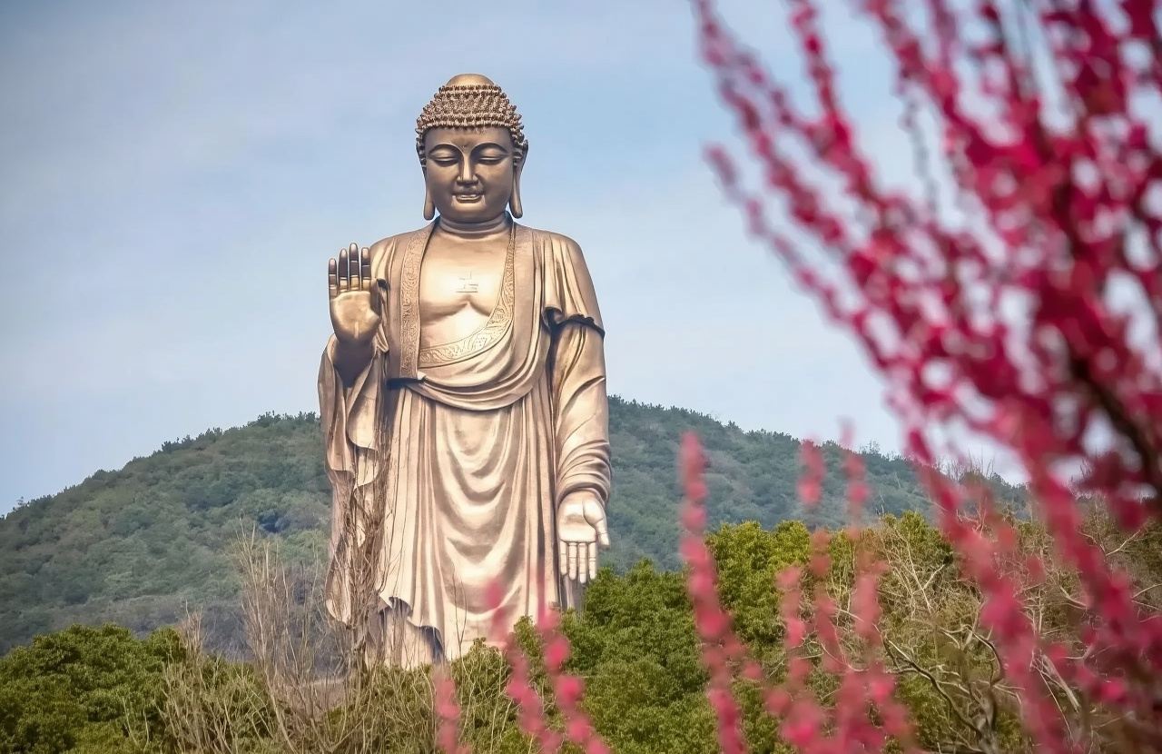 พิพิธภัณฑ์สัตว์น้ําอู่ซี + การล่องเรือคลองโบราณ + พระใหญ่วัดหลิงซาน|เหมารถทัวร์วัน [จีน อังกฤษ รัสเซีย ฝรั่งเศส เยอรมัน สเปน] #