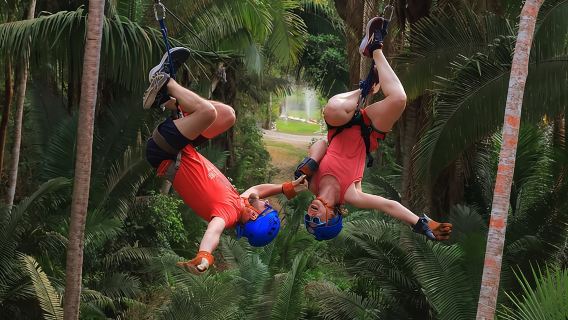 Canopy Tour Experience in Sayulita, Nuevo Nayarit.