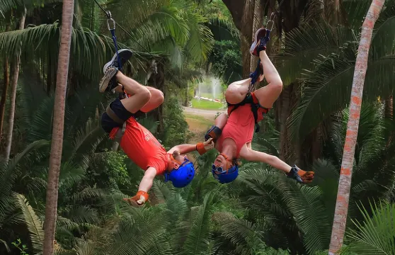 新納亞里特州薩尤利塔的樹冠之旅體驗。