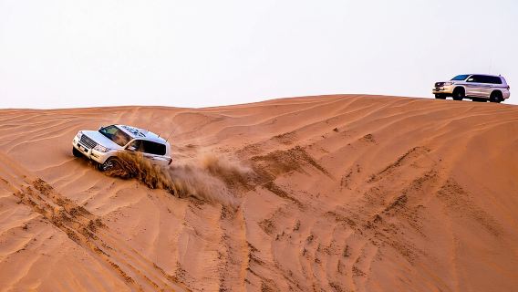 (Private) Quickie to the Desert | Sandboarding | Inland Sea