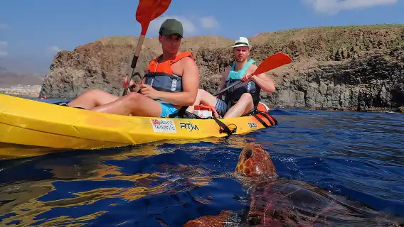 Kayaking with Dolphins and Turtles and Snorkelling in Tenerife