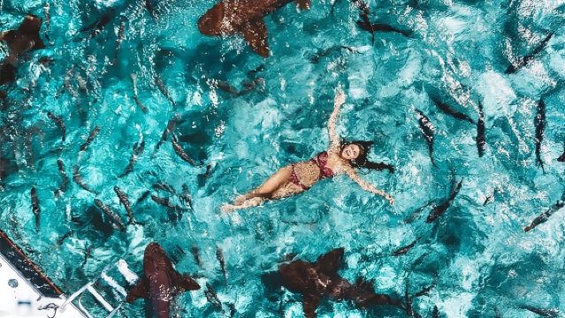 Belize Hol Chan Marine Reserve & Shark Ray Alley Snorkel Tour - Ambergris Caye