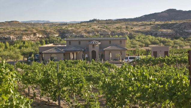 Visita 4 Cantine in Limousine Party Bus - Include Pranzo con Charcuterie!