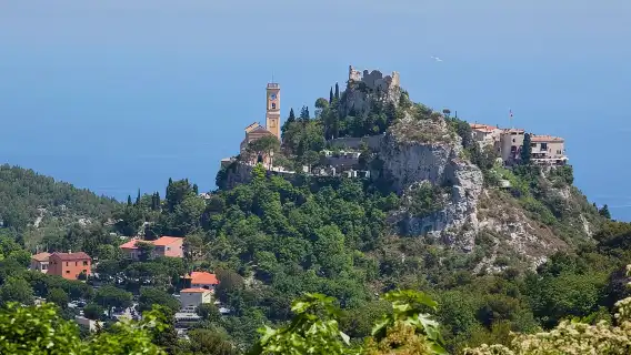 French Riviera Full Day Shared Tour from Nice