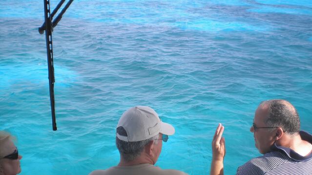 Key Largo Coral Reef Glass Bottom Boat Adventure 