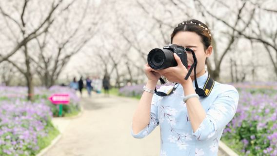 武漢湖北省博物館+黃鶴樓+辛亥革命博物院(北區)景區導覽【一對一服務,不拼團】||導遊帶您感受武漢魅力
