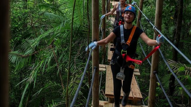 與樹頂探險公司一起體驗苦難角高空滑索之旅