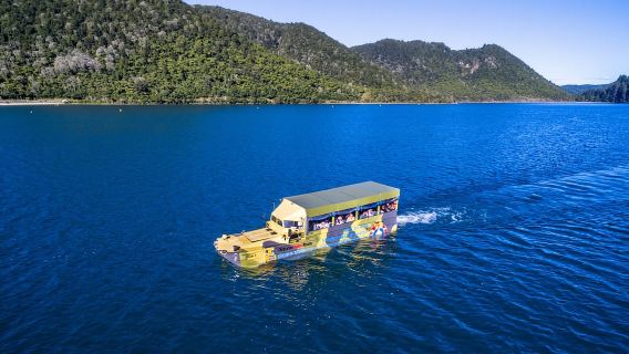 Recorrido ecológico en pato de 2 horas por Tarawera y sus lagos