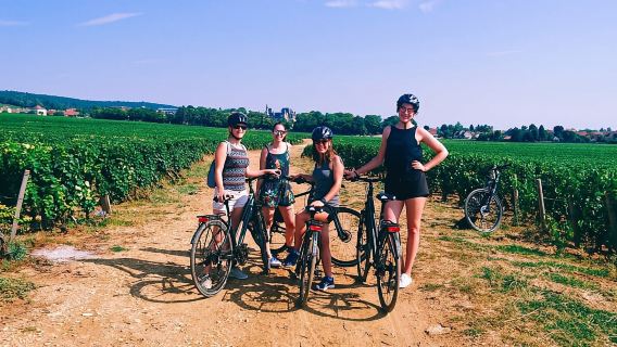 Dijon: Half-Day Guided Gourmet Bike Tour