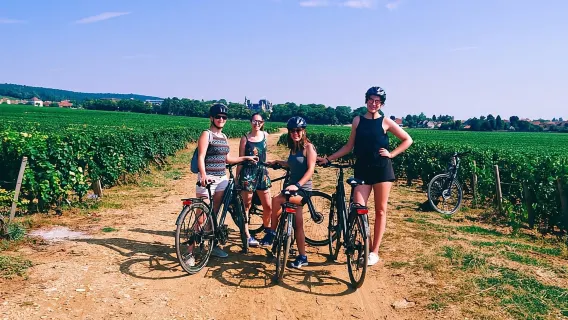 Digione: Tour in Bicicletta Gourmet di Mezza Giornata con Guida