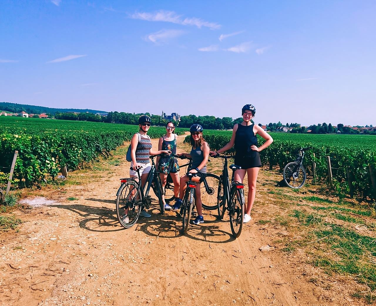 Dijon: Half-Day Guided Gourmet Bike Tour